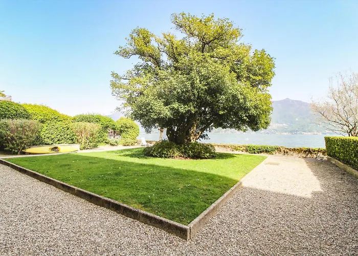 Molly アパート メナッジョ